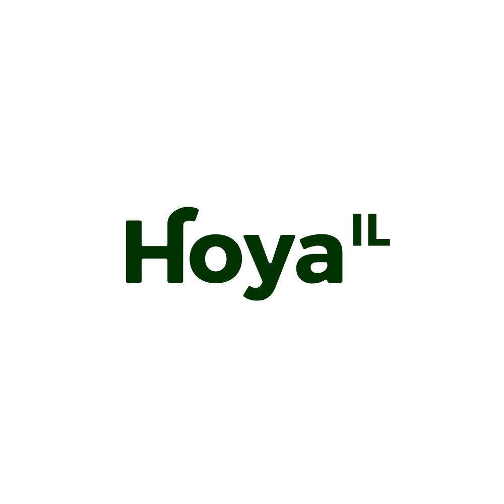 Hoya צמחי בית 